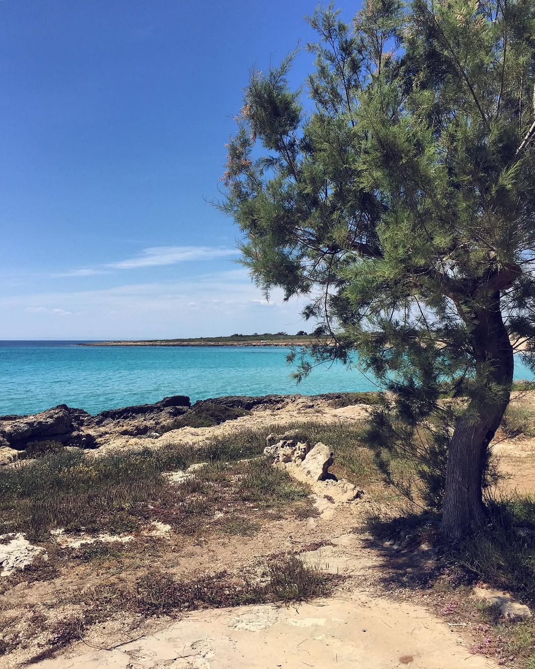 vista della campagna dalla finestra
